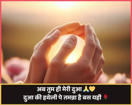 Good Evening Shayari