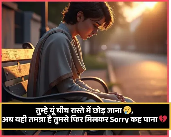 Hurt Sorry Shayari
