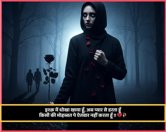 No Love Shayari