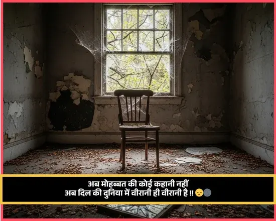 No Love Shayari