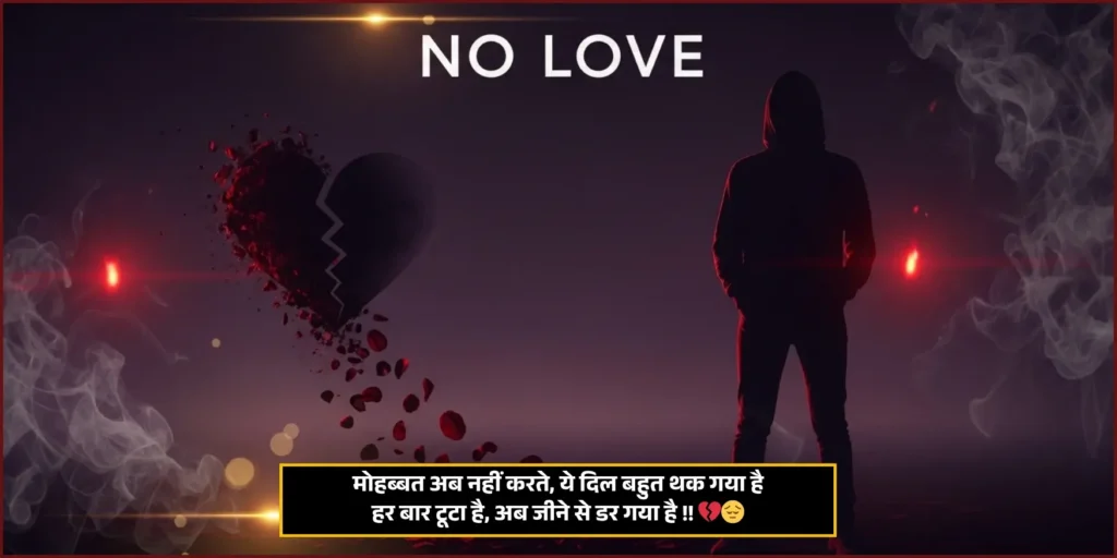 No Love Shayari