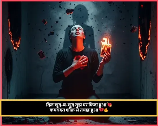 No Love Shayari Boy